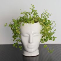 Cache pot tête céramique 1970 vintage 23