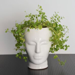 Cache pot tête céramique 1970 vintage 23